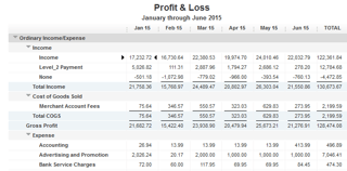 Income_Statement_Capture.png